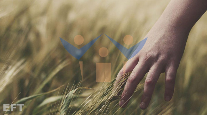 Denizli EFT Uygulama Hizmeti